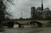 10th Jan 2012 - The Seine is getting higher