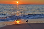 8th Jan 2012 - Birds Eye View Of Sunrise At The Ocean