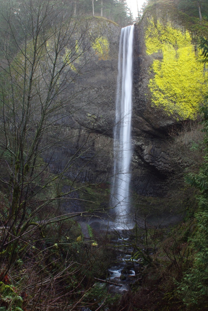 Latourell Falls, Columbia Gorge, Oregon by vickisfotos