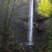 Latourell Falls, Columbia Gorge, Oregon by vickisfotos