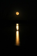 10th Jan 2012 - Bad Moon Rising