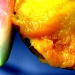 Melon & Mango by ubobohobo