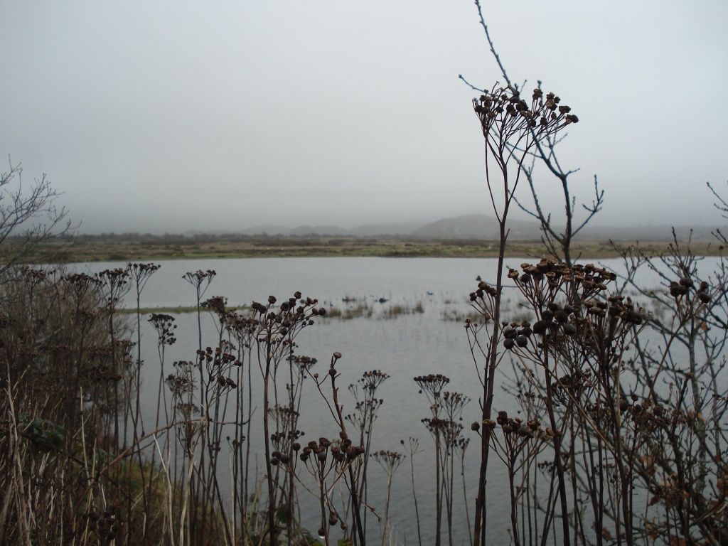 Traeth Mawr by overalvandaan