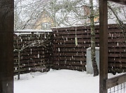 11th Jan 2012 - Big snowflakes IMG_2076