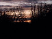 11th Jan 2012 - Sunrise