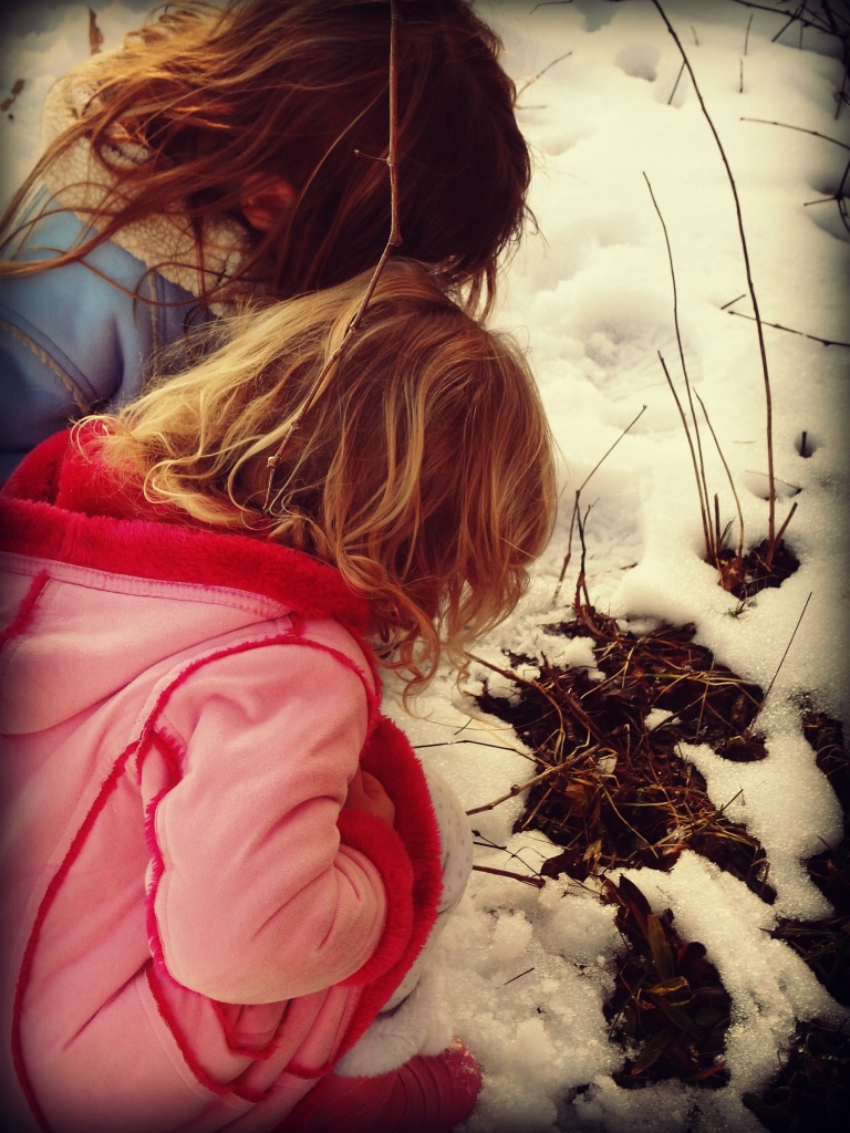 caterpillar in winter by edie