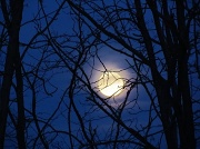 8th Jan 2012 - Moon