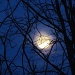 Moon by juletee