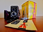 12th Jan 2012 - Yashica Yellow