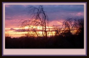 12th Jan 2012 - Sunday sunset