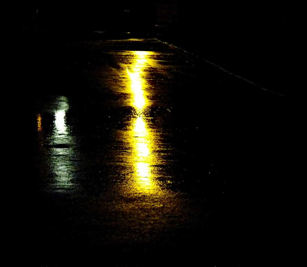 Rainy Night Reflections by peggysirk
