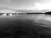 13th Jan 2012 - Low tide in the 'arbour