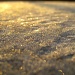 Diamonds on the Car Roof by filsie65