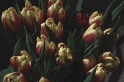 13th Jan 2012 - Tulip Painting