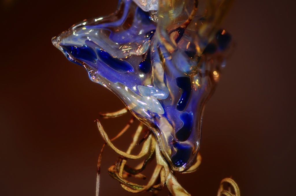 Blown glass  by lstasel