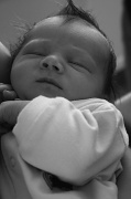 14th Jan 2012 - Newborn