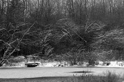 13th Jan 2012 - Snowy Pond