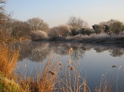 14th Jan 2012 - First frost