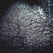night snow by grecican