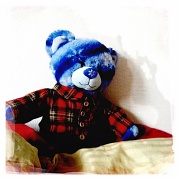 14th Jan 2012 - Scoobie Bear