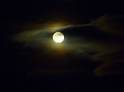 11th Jan 2012 - 'Hanging upon the Cheek of Night...