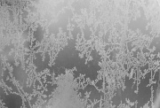 14th Jan 2012 - Frosty morning