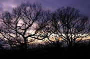 11th Jan 2012 - After Sunset