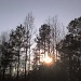 Sundown - Taken with a Cellphone by marlboromaam