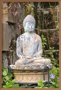 15th Jan 2012 - The Enlightened One