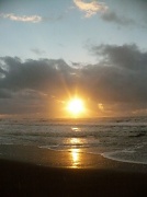 14th Jan 2012 - Gold Beach