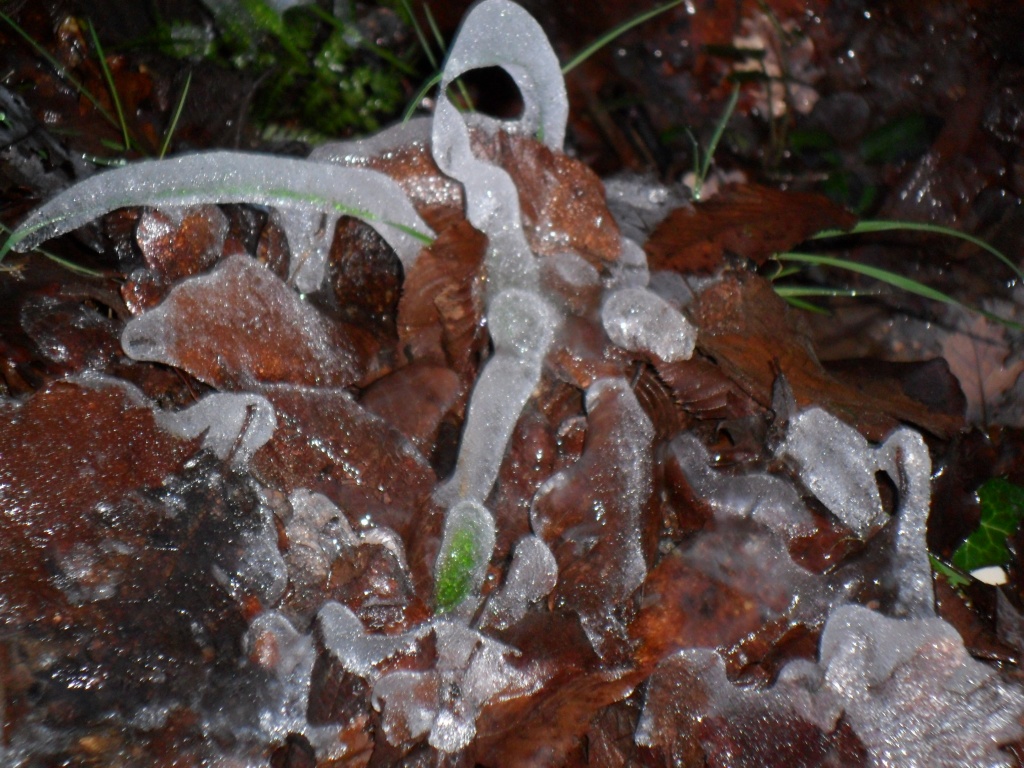 Frost Sculptures by will_wooderson
