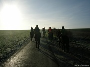 15th Jan 2012 - Horse-riding #2