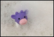 15th Jan 2012 - little wahoo takes a bubble bath