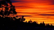 15th Jan 2012 - Another beautiful sunrise in Colorado