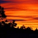 Another beautiful sunrise in Colorado by dmdfday
