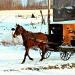 Amish buggy by skipt07