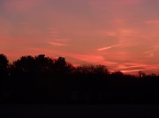 16th Jan 2012 - Morning Sky
