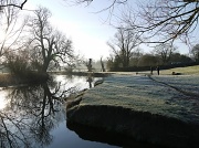 16th Jan 2012 - Morning on the Meadows