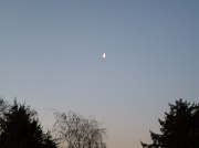 16th Jan 2012 - Moon