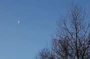 16th Jan 2012 - Morning Moon