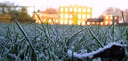 16th Jan 2012 - Frost