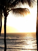 5th Jan 2012 - Aloha!