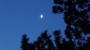 16th Jan 2012 - three quarter moon 