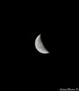 14th Jan 2012 - Moon