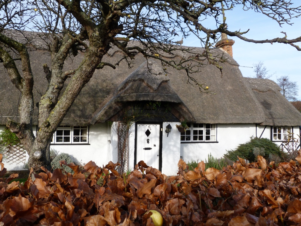 Charming thatched bungalow by rosiekind