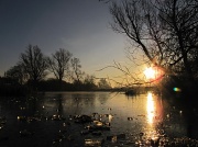 17th Jan 2012 - Ice on the pond