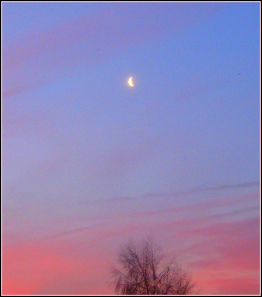 Gentle Morning Moon  17.1.12 by filsie65