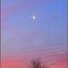 Gentle Morning Moon  17.1.12 by filsie65
