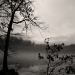 A Soft Evening's Fog by digitalrn