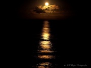 8th Jan 2012 - Moon Over Maui